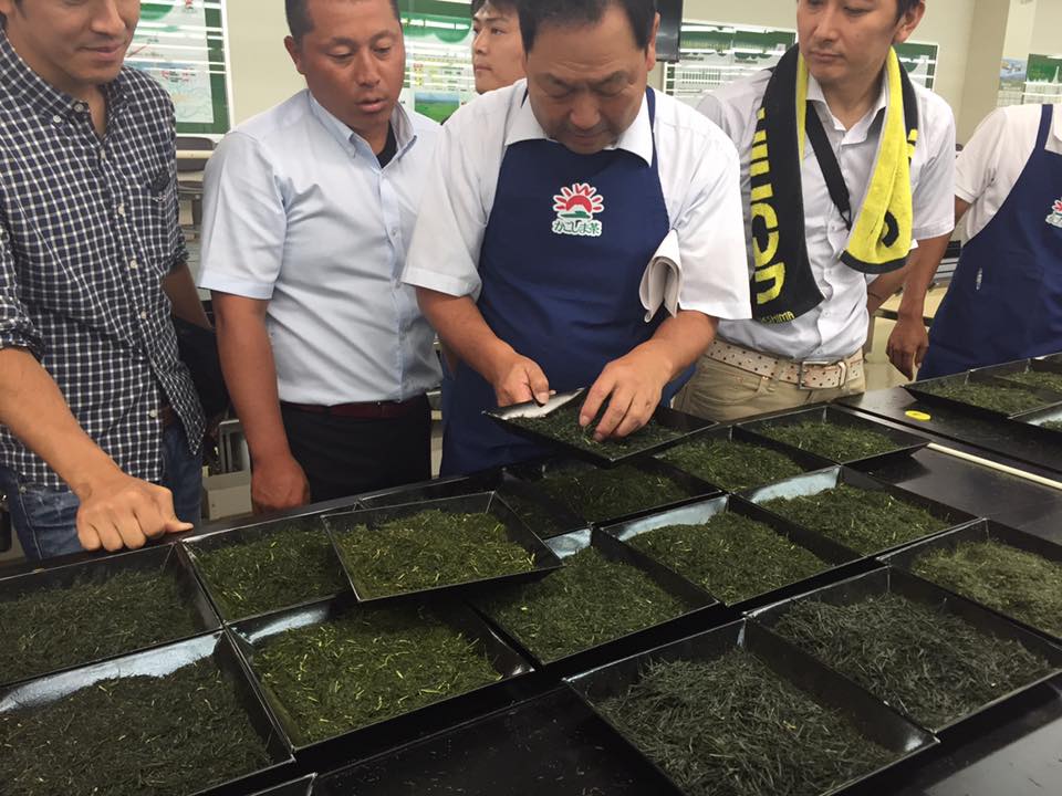 「2017年茶品質向上共進会審査会」で知覧茶生産者が鹿児島県知事賞受賞