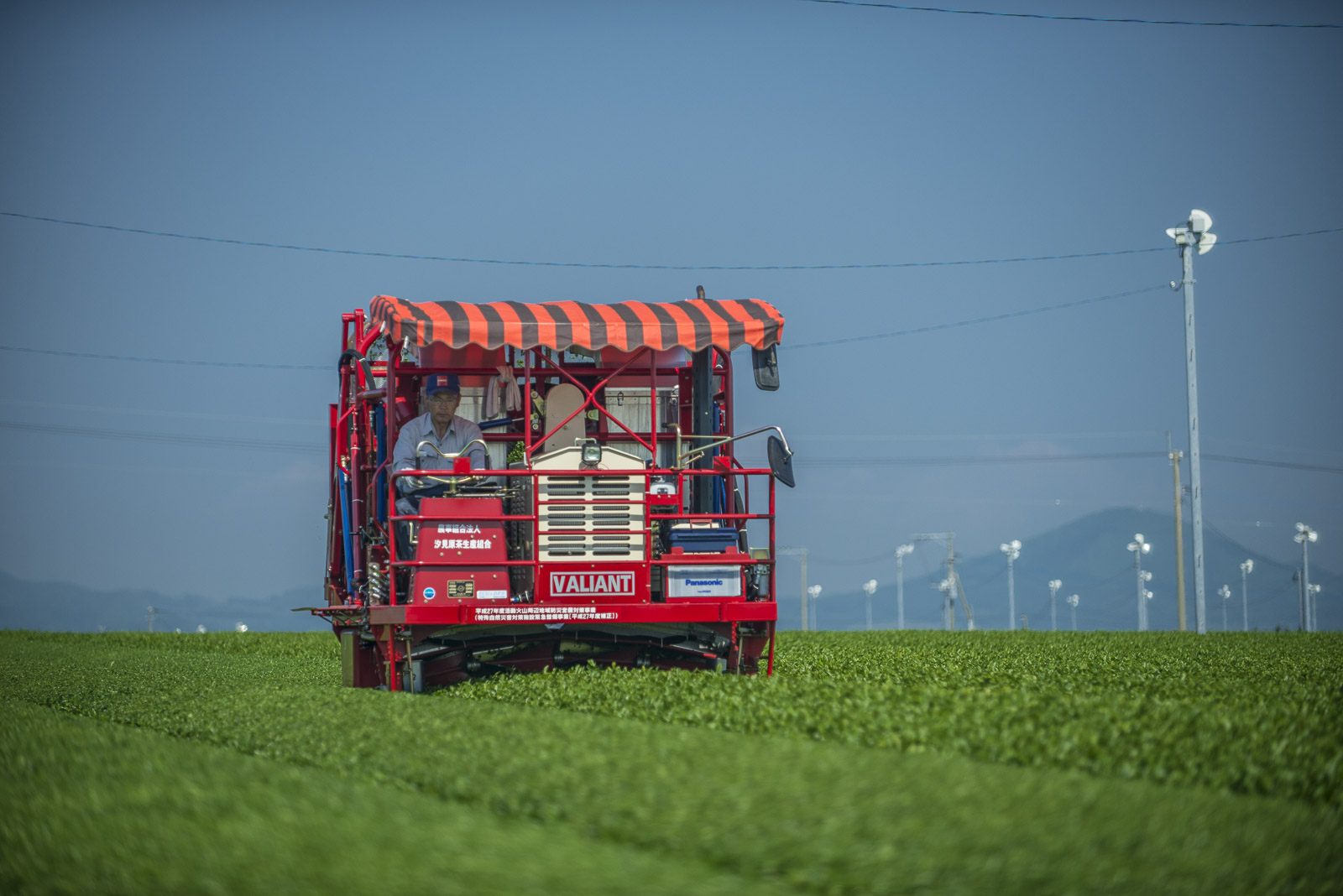 Compétition des machines de récolte de thé