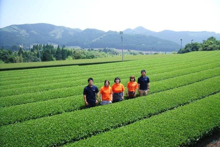 株式会社 枦川製茶