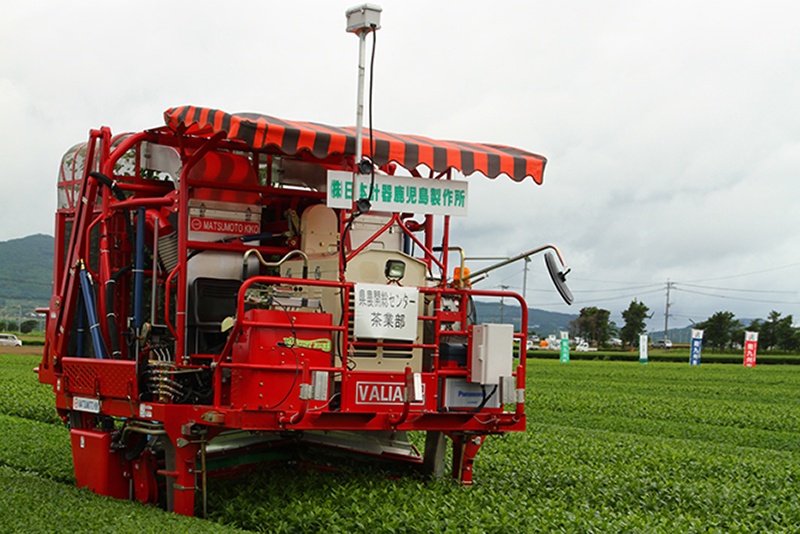 Des machines autonomes pour la récolte du thé