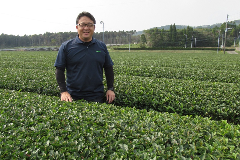 祖先から知覧茶を受け継ぐ、頼もしきリーダー